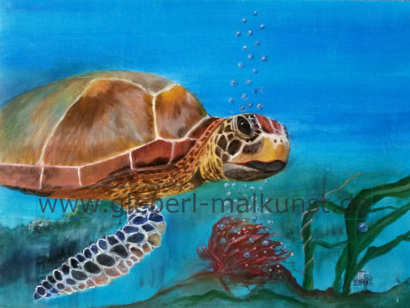 Wasserschildkröte, 24 x 30 cm, Ölmalerei, Preis auf Anfrage